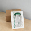Starbucks Bearista Glass Tumbler
